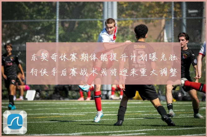 东契奇休赛期体能提升计划曝光独行侠季后赛战术或将迎来重大调整